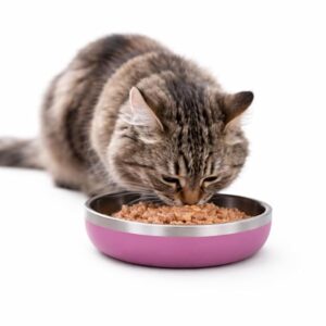 Zigly Lifestyle Meow Dish Double-Walled Cat Bowl – Whisker-Friendly, Anti-Slip Feeding Bowl for Cats, Pink Punch