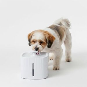 Basics 3L Pet Water Fountain for Cats & Dogs | with LED Light | USB Powered | Dual Water Flow | Silent Pump | BPA-Free Food-Grade Material | White