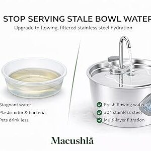 Macushla 3.2L Stainless Steel Cat Water Fountain with LED, Automatic Pet Drinking Fountain for Cats & Small Dogs, Ultra Quiet USB Pump, Water Level Window