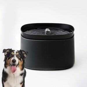 Automatic Pet Water Fountain for Cats and Dogs | Ultra-Quiet | BPA-Free & Easy to Clean | 2.5L Capacity Water Dispenser | Promotes Fresh Hydration | Indoor Fountain for Small Cats (Black)