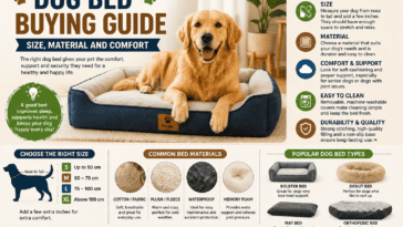 Dog bed buying guide image showing a happy dog on a comfortable bed with tips for size, material, comfort and durability.