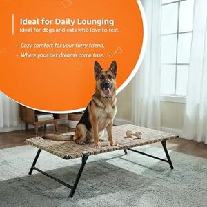 Basics Leg Fold Dog Pet Bed | Durable Nylon Niwar | 42 × 24 × 8 Inch | Multi-Color