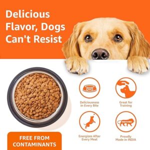 Basics Dry Dog Food | 5 Kg | Chicken & Rice | with Real Chicken Meat | Kibble for Adult Dogs | Packed with Protein | Suitable for All Breeds