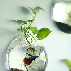 Premier Plants Wall Hanging Fish Bowl Acrylic White Colour with Free Color Stones (9 Inch)