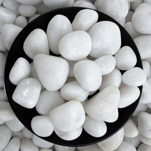 Foodie Puppies Polished White Pebbles Glossy Stones - 2Kg (2.5cm - 4cm) | for Home Decorative, Vase Fillers, Aquarium Fish Tank, Garden River Rock Unplanted Substrate