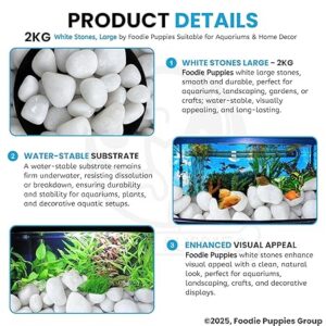 Foodie Puppies Polished White Pebbles Glossy Stones - 2Kg (2.5cm - 4cm) | for Home Decorative, Vase Fillers, Aquarium Fish Tank, Garden River Rock Unplanted Substrate