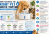 Dog and cat drinking from a pet water fountain with tips for size, material, filtration, noise level and cleaning.