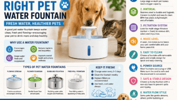 Dog and cat drinking from a pet water fountain with tips for size, material, filtration, noise level and cleaning.