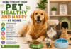 Happy pets at home with dog, cat and rabbit showing pet care tips for food, water, exercise, grooming and comfort.