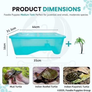 Foodie Puppies Turtle House Tank Aquarium with Cover (Turquoise, Medium - 42x30x16cm) | Reptile Habitat for Turtles, Crayfish, and Crabs - Breeding Box (Without Accessories)