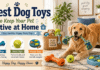 Best Dog Toys to Keep Your Pet Active at Home
